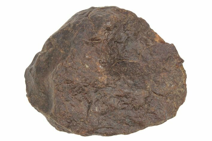 Chondrite Meteorite ( g) - Western Sahara Desert #233178
